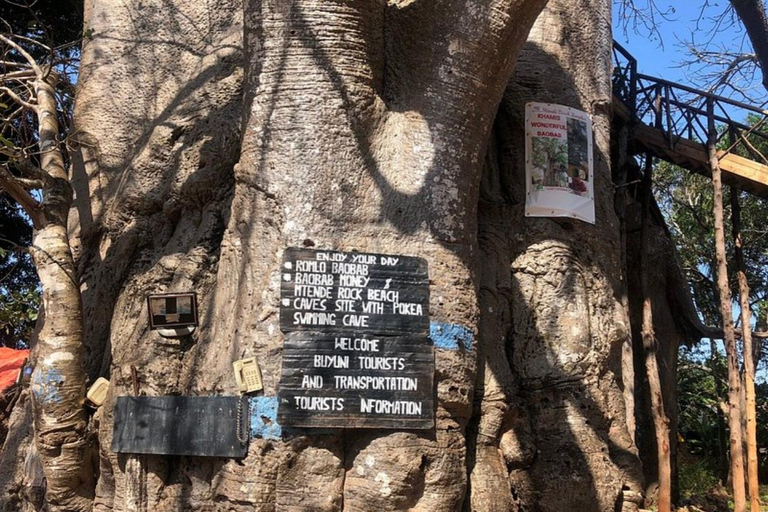 Salaam-grottan där man kan simma med sköldpaddor och Mtende-strandenPrivat tur från Paje, Kizimkazi, Michanvi, Jambiani