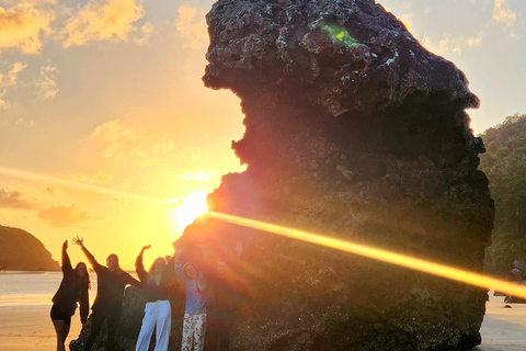 Nascer do sol com os cangurus e os wallabies - Airlie Beach