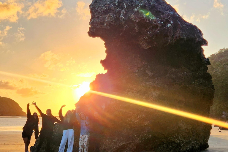 Nascer do sol com os cangurus e os wallabies - Airlie Beach