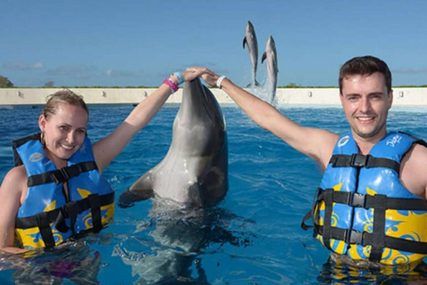 Punta Cana: Swimming with Dolphins.Dolphin Swim Adventure in Punta Cana with Transportation