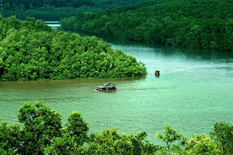 Vanuit Ho Chi Minh Stad: Groepstour Can Gio Mangrovebos