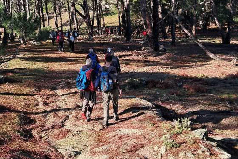 Kusadasi National Park Shinrin Yoku Tour