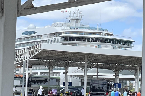 Miami : Visite privée de la ville en véhicule climatiséMiami City Explorer Tour : Découvrez le cœur de la ville magique