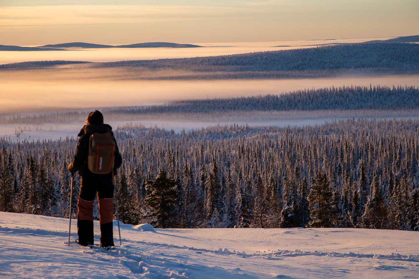 팔라스-율래스투리 국립공원 스노슈잉 투어