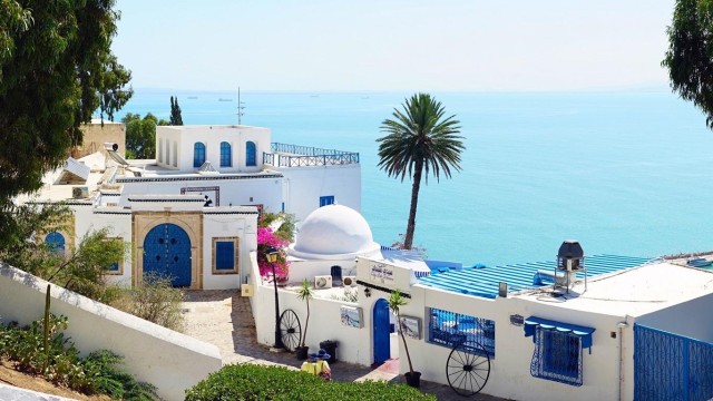 Visit Carthage, Sidi Bousaid & Medina Tunis with tunisian lunch in Carthage