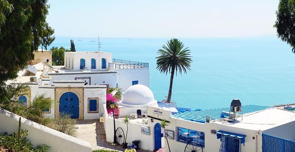 Hammamet: Carthage, Sidi Bou Said & Tunis Medina with Lunch