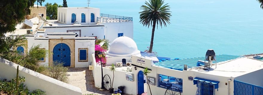 Hammamet: Cartago, Sidi Bou Said e Medina de Túnis com almoço