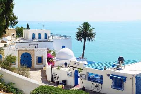 Carthage, Sidi Bousaid & Médina Tunis avec déjeuner tunisien