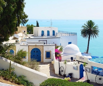 Hammamet: Carthage, Sidi Bou Said & Tunis Medina with Lunch