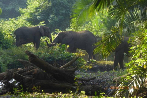 Z Addis Abeby: 6-dniowa wycieczka do Chebera Churchura i Halla Kella