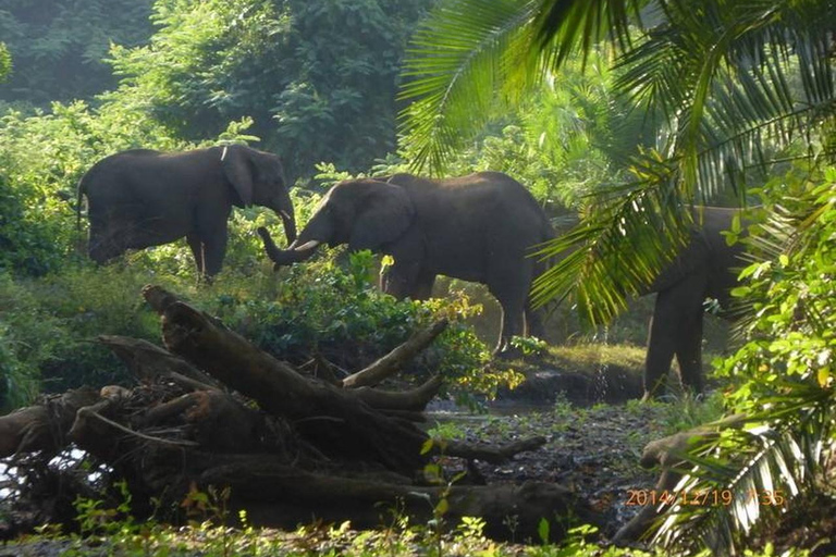 Z Addis Abeby: 6-dniowa wycieczka do Chebera Churchura i Halla Kella