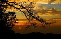 モンテベルデでのサンセット+ナイトウォークツアー - Housity