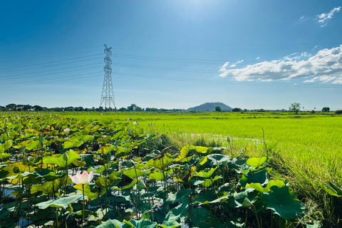 Mad Monkey Siem Reap: Sunset Countryside Cycling Tour