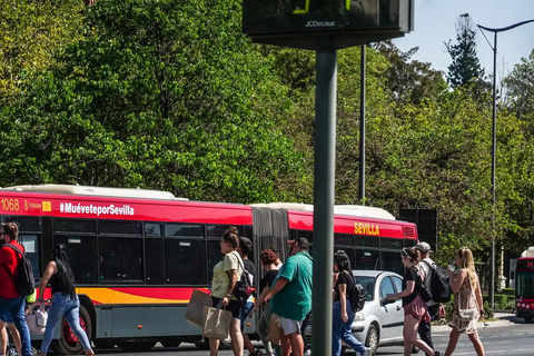 Sewilla: Bilet na transfer autobusem między lotniskiem a centrum miastaPojedynczy bilet autobusowy z miasta Sewilla na lotnisko w Sewilli