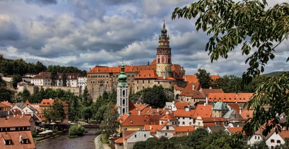 Red-roofed houses and the castle tower above a bend in the river, seen from a viewpoint under tree branches