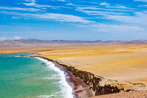 Paracas National Reserve Tour