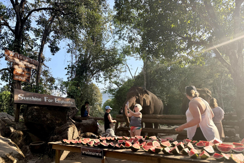 مغامرة شيانغ ماي ليوم كامل: المشي لمسافات طويلة، والتزحلق على الأنابيب، ومشاهدة الفيلةالرحلات، وا