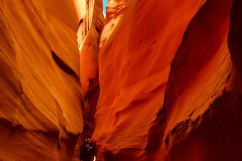 Vallée d&#039;Antelope : Randonnée dans le canyon de Ligai Si Anii