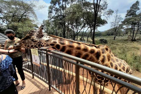 Nairobi: Giraffe Center, Kazuri Beads Factory, and Bomas …