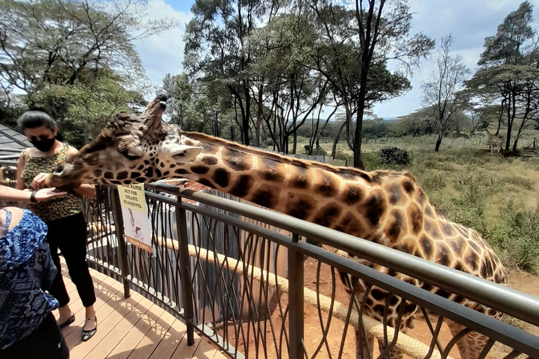 Nairobi: Giraffe Center, Kazuri Beads Factory, and Bomas …