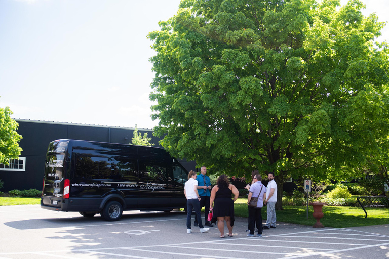 Cataratas del Niágara: tour guiado por bodega con cata y recogidaCataratas del Niágara: visita guiada a una bodega con cata y recogida