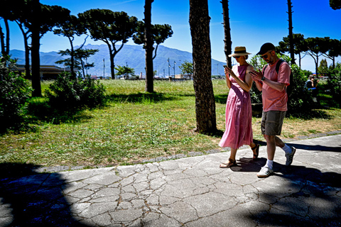 Pompeii: Group Guided Tour with an Expert Archaeologist Group Tour with Entrance Ticket Included