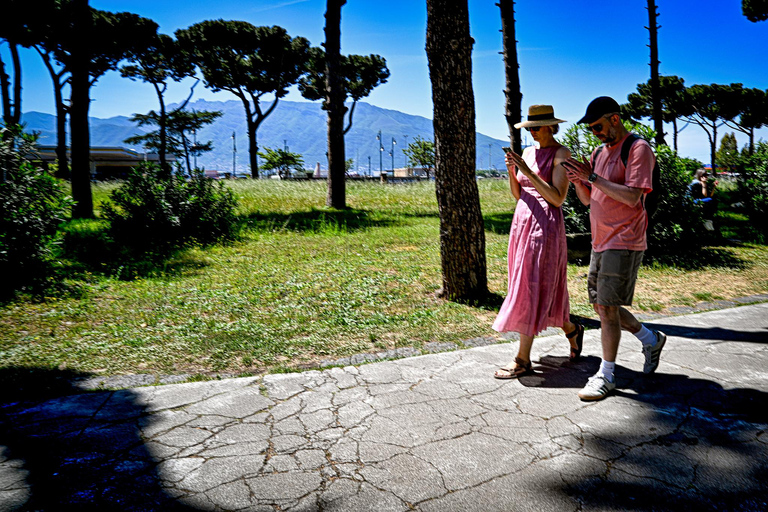 Pompeii: Group Guided Tour with an Expert Archaeologist Group Tour with Entrance Ticket Included