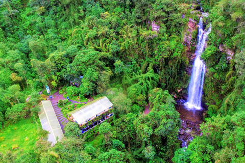 Bogotá: La Chorrera Waterfall Yoga and Forest Bathing