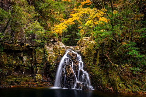 Osaka: Nara, Akame 48 Waterfalls & Tanzan Shrine Tour Shared Tour, Meet at Tsurutontan Soemoncho