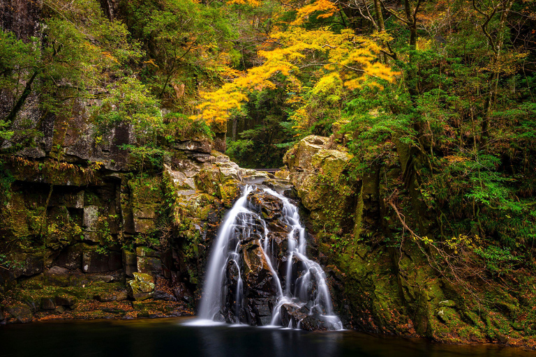 Osaka: Nara, Akame 48 Waterfalls & Tanzan Shrine Tour Shared Tour, Meet at Tsurutontan Soemoncho