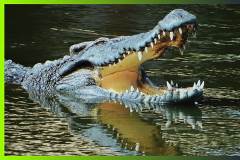 Cat Tien National Park: 3 Day Jungle Expedition Journey