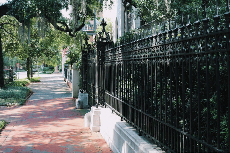 Savannah: Wandeltour door de geschiedenis