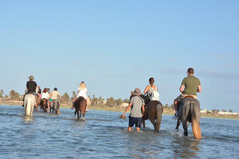 Djerba One Day Package : horse, Camel and quad