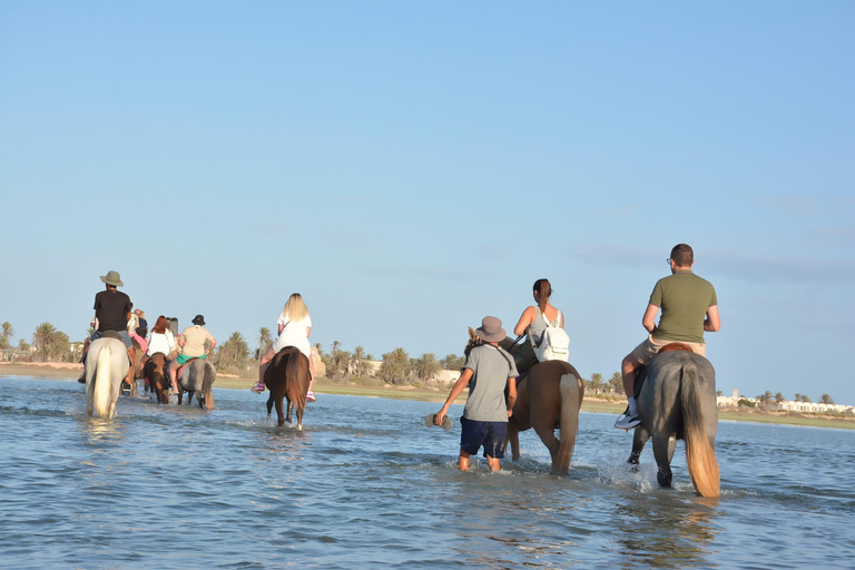 Djerba One Day Package : horse, Camel and quad