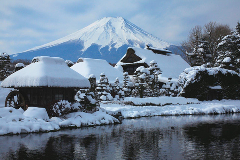 Mount Fuji Or Hakone Private Tour From Tokyo (Customizable) Van ( Toyota Vellfire or Alphard)
