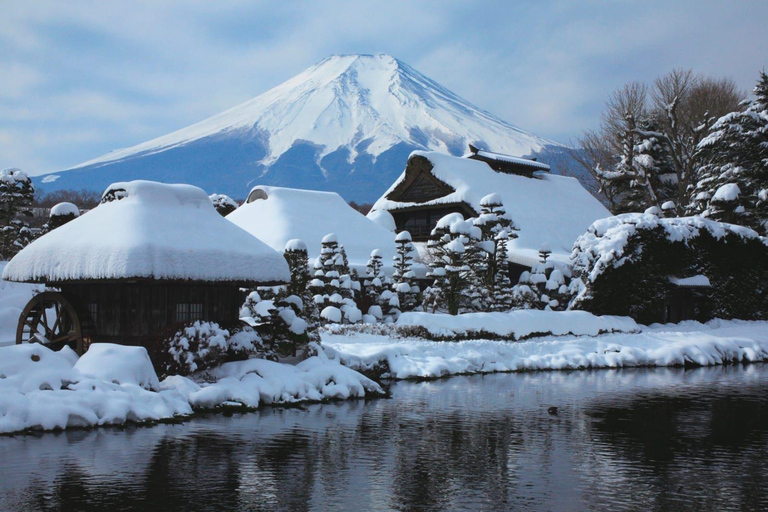 Mount Fuji Or Hakone Private Tour From Tokyo (Customizable) Van ( Toyota Vellfire or Alphard)