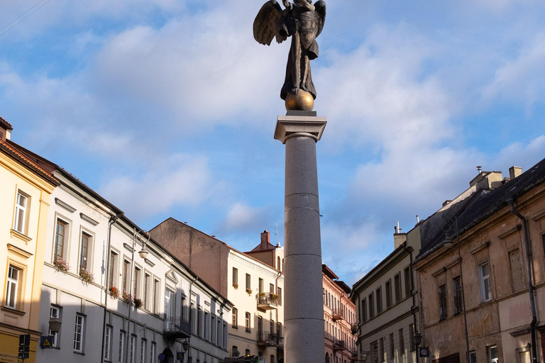 Vilna: Tour privado de medio día por la ciudad en monovolumen