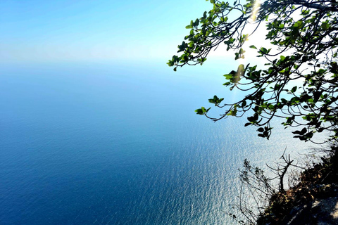 Full-Day West Salalah: Beaches, Mountains & Hidden Gems