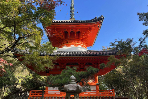 Hiroshima & Miyajima: Private Day Tour with English Guide