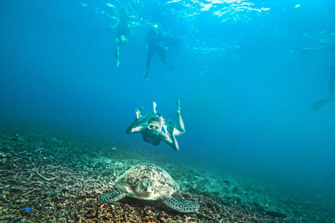 Koh Tao: Koh Nangyuan & Hidden Bays Snorkeling Tour w/ Lunch