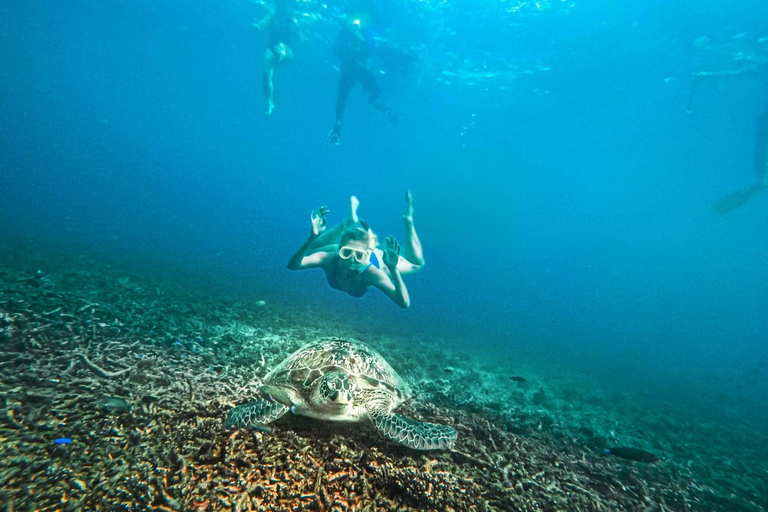 Koh Tao: Koh Nangyuan & Hidden Bays Snorkeling Tour w/ Lunch