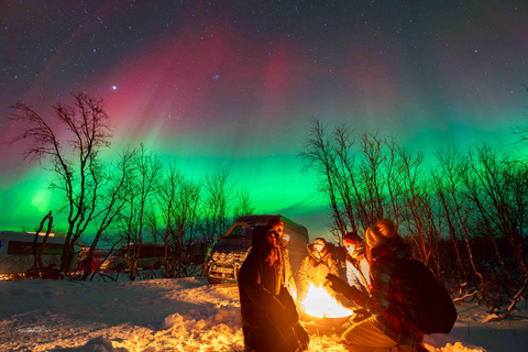 Tromsø | The OFFICIAL Northern Lights Safari Company