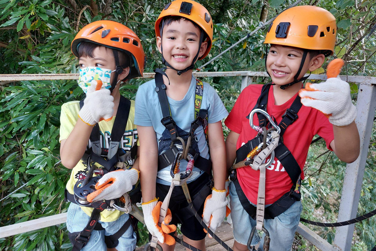 From Koh Samui: Tree Bridge Zipline and Café Experience