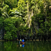 Krabi: Kayak Adventure through Ao Thalane Mangrove Forest Krabi: Kayak Adventure through Ao Thalane Mangrove Forest