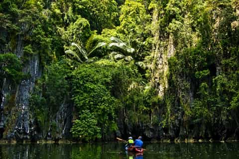 Krabi: Kayak Adventure through Ao Thalane Mangrove Forest - Image 3