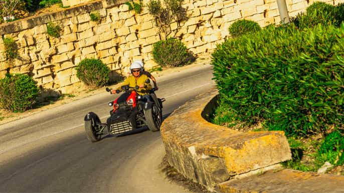 Ön Gozo: Heldagstur med Ryker och kustutsikt