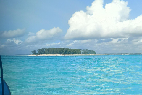 Swimming with turtles at The Lagoons Zanzibar in Nungwi Pickup from Nungwi/kendwa without entrance tickets (10$pp)