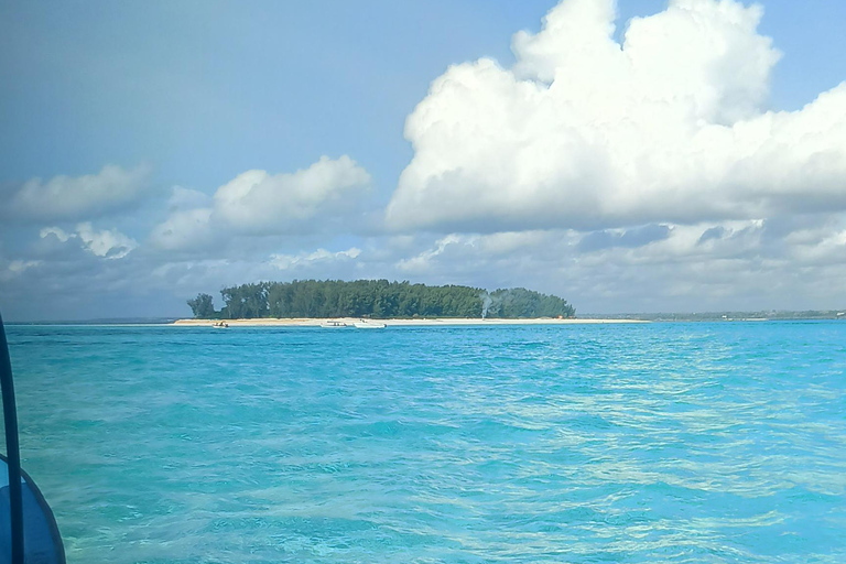 Swimming with turtles at The Lagoons Zanzibar in Nungwi Pickup from Nungwi/kendwa without entrance tickets (10$pp)