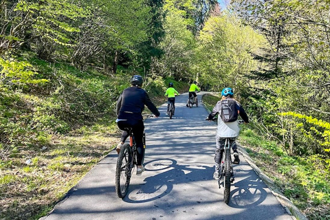 Brasov: E-biketocht naar Poiana Brasov (oude stad &amp; bos)