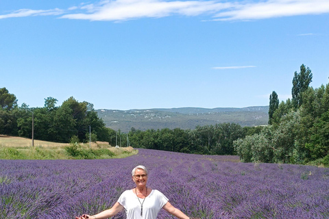 From Aix-en-Provence: Luberon Villages and Lavender Tour